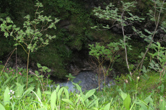 2007-0012-0707-0621-LF1