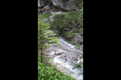 2007-0012-0707-0622-LF1