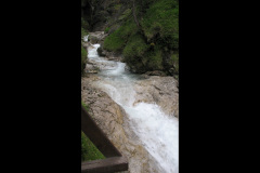 2007-0012-0707-0624-LF1