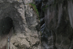 2007-0012-0707-0632-LF1