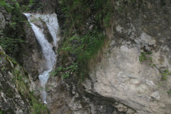 2007-0012-0707-0636-LF1