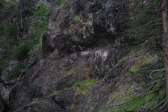 2007-0012-0707-0644-LF1