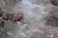 2007-0012-0707-0648-LF1
