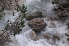 2007-0012-0707-0650-LF1