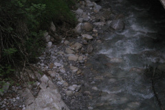 2007-0012-0707-0653-LF1