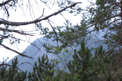 2007-0012-0707-0655-LF1