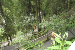 2007-0012-0708-0906-LF1