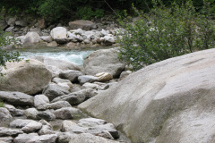 2007-0012-0708-0910-LF1