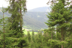 2007-0012-0708-0917-LF1