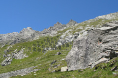 2007-0012-0716-1430-LF1