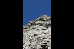 2007-0012-0716-1483-LF1