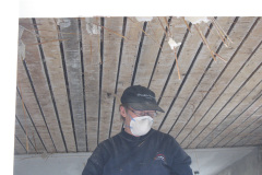 2007-0001-0307-0023-LF1