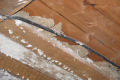 2007-0001-0307-0055-LF1