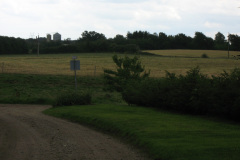 2008-0008-0717-0017-LF1
