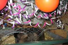2008-0015-1231-0015-LF1