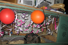 2008-0015-1231-0017-LF1