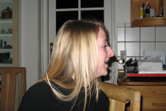 2008-0015-1231-0019-LF1