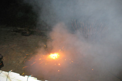 2008-0015-1231-0025-LF1