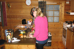 2008-0003-0221-0009-LF1
