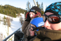 2008-0003-0221-0016-LF1
