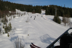2008-0003-0221-0017-LF1