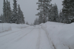 2008-0003-0221-0041-LF1