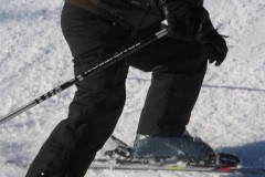 2008-0003-0221-0058-LF1