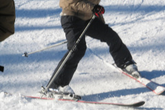 2008-0003-0221-0059-LF1