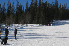 2008-0003-0221-0061-LF1