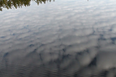 2009-0017-0918-0004-LF1