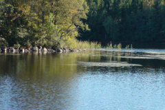2009-0017-0918-0045-LF1