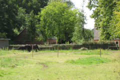 2009-0016-0726-0008-LF1
