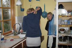 2009-0006-0404-0011-LF1