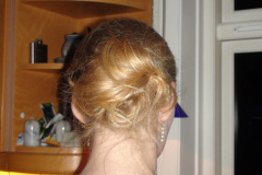 2010-0011-0330-0002-LF1