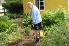 2010-0020-0725-0088-LF1