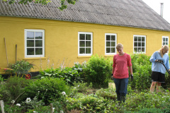 2010-0020-0725-0096-LF1