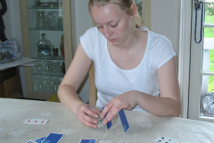2010-0003-0000-0006-LF1