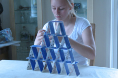 2010-0003-0000-0009-LF1