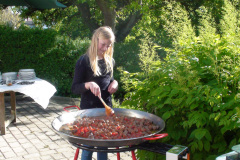2010-0014-0603-0008-LF1