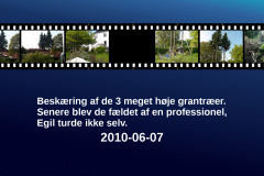 2010-0015-0607-0001-LF1