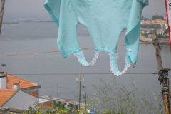 2011-0005-0403-0023-LF1
