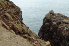 2011-0007-0529-0012-LF1