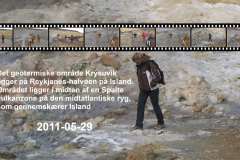 2011-0007-0529-0100-LF1