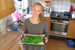 2011-0017-0220-0002-LF1
