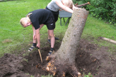 2011-0012-0626-0005-LF1