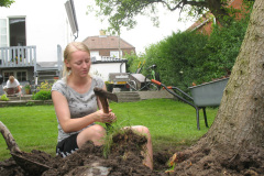 2011-0012-0626-0006-LF1