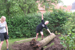 2011-0012-0626-0010-LF1