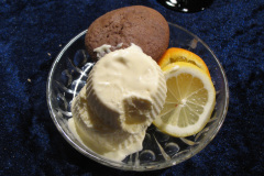 2011-0021-1231-0050-LF1