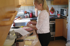 2011-0008-0603-0005-LF1