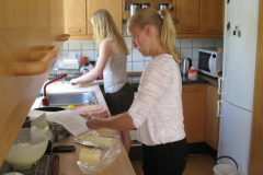 2011-0008-0603-0006-LF1